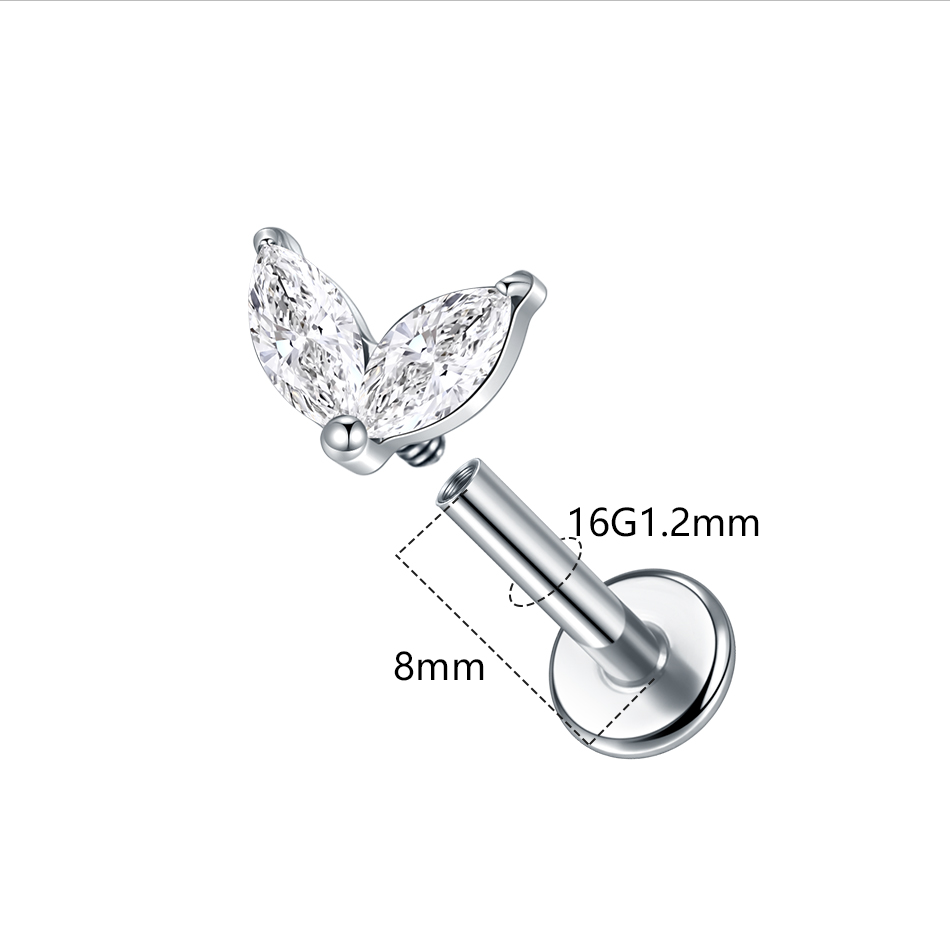 Boucles d'oreilles en titane b - Zoor Body Jewelry avis et prix