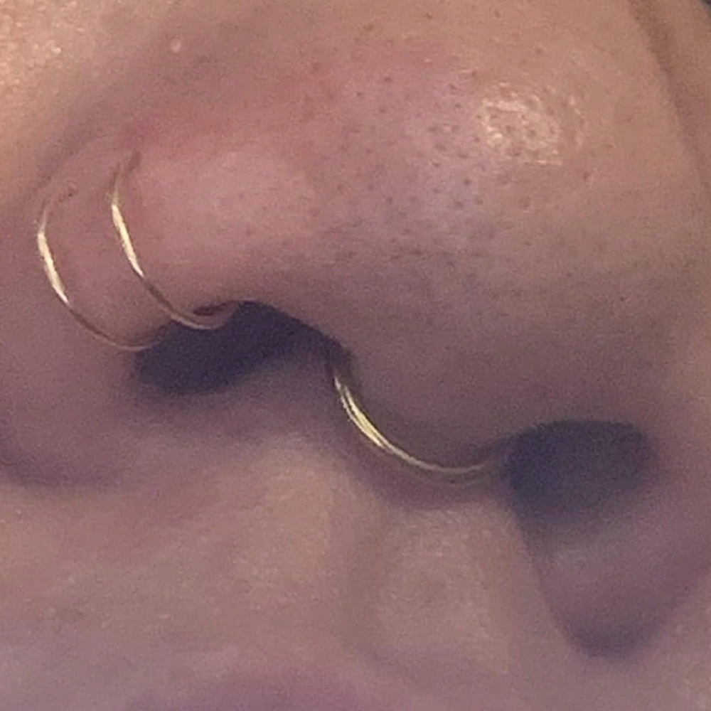 Faux anneaux de nez et faux se - Body Jewelry Nose Ring avis et prix